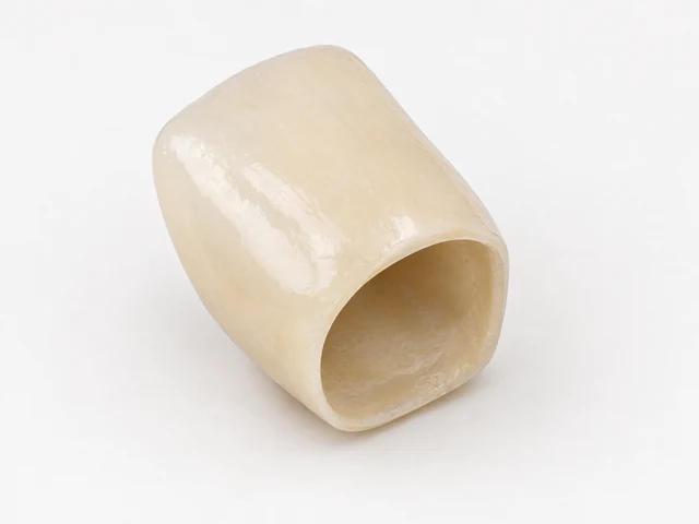 Illustrated detached crown with an open underside and hollow interior.